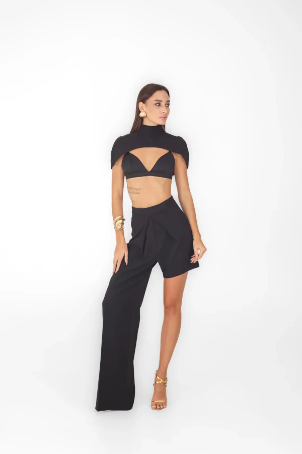 Short turtleneck cape with wide black trousers, full length evening look