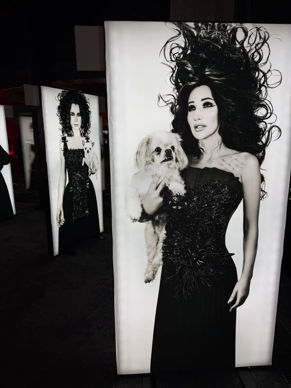 Portrait of Justyna Steczkowska as the Siren in the REPULO'S Shell gown, photo by Maksymilian Ławrynowicz, Bad Girls exhibition
